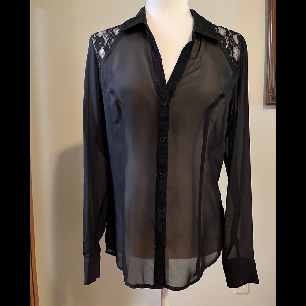 Sofia Vergara Sheer Long-Sleeve Black Blouse